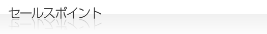 セールスポイント